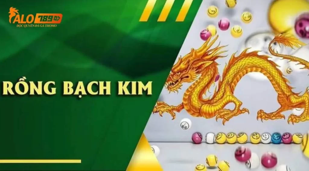 Bí quyết chơi dàn dề Rồng Bạch Kim hiệu quả nhất tại Alo789